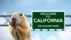 Gopher ready to eat by California state sign
