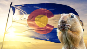 Hungry Gopher by Colorado State Flag