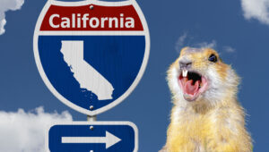 California Gopher