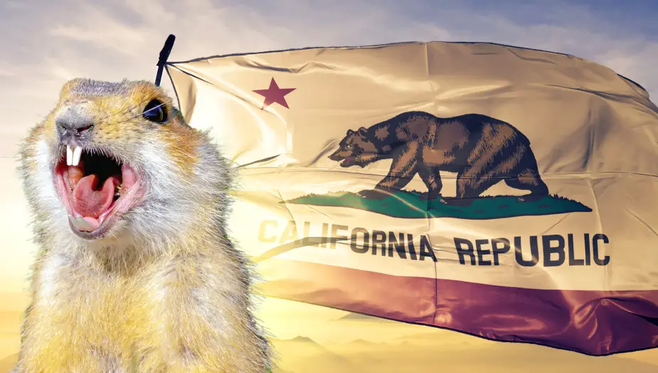 California gopher by sun standing in front of California flag