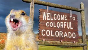 Colorado welcome sign and a hungry Gopher