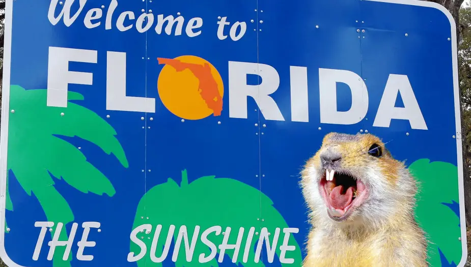 Florida Gopher by Florida welcome sign