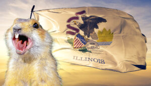 Gopher yelling by Illinois state flag