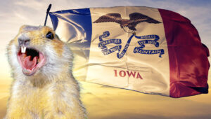 Iowa Gopher and Iowa flag