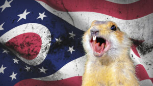 Ohio Gopher in front of Ohio flag screaming
