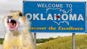 Oklahoma Gopher discovers Oklahoma welcome sign