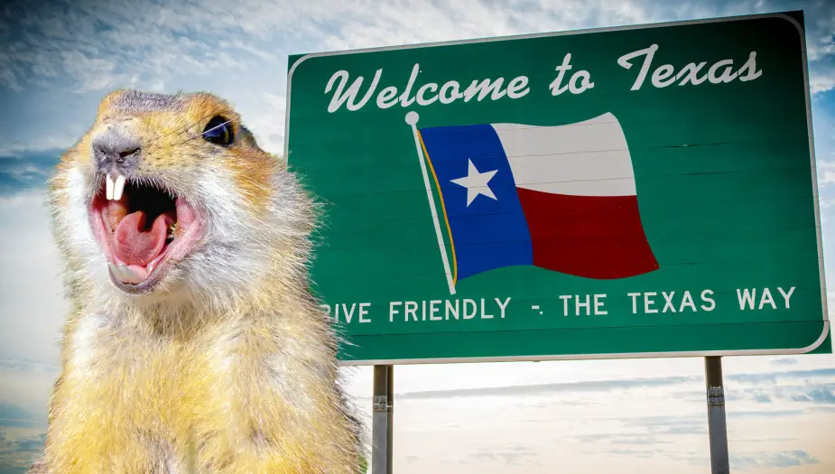 Texas Gopher by Texas welcome sign