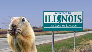 Gopher eating fruit by Illinois welcome sign