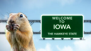 Iowa Gopher ready to jump
