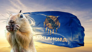 Gopher from Oklahoma by its flag