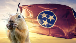 Tennessee Gopher in front of Tennessee state flag and sun