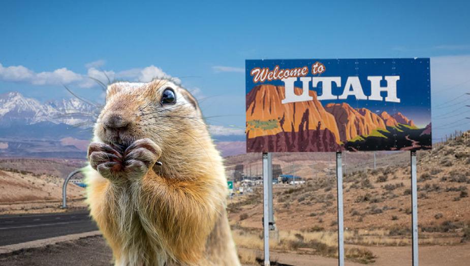 Utah Gopher eating by the Utah welcome sign