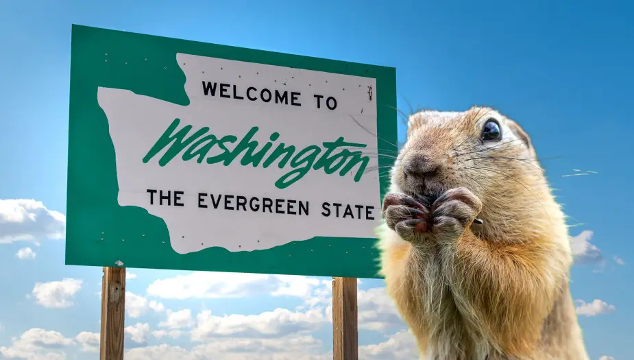 Gopher standing by wood Washington State sign